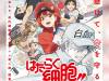 Cells-at-Work-Anime-2-Visual