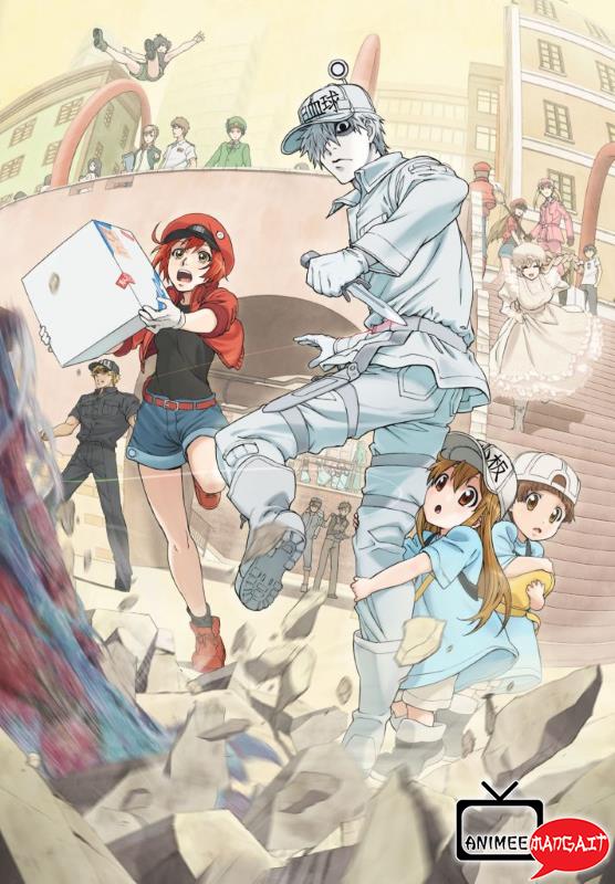 Cells at Work! - Lavori in corpo (Hataraku saibo) - Visual 2