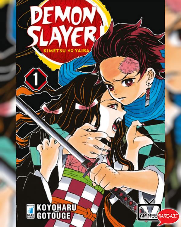 Demon Slayer – Kimetsu no Yaiba